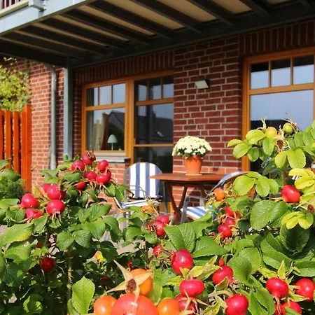 F-1096 Edelrose Fewo 01 Terrasse, Meerblick * Neuendorf (Rugen)